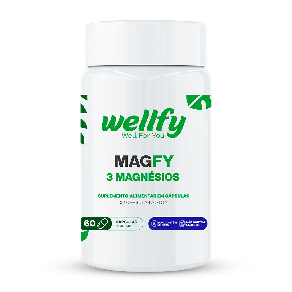 Magfy 3 Magnésios Wellfy 1 pote suplemento alimentar em cápsulas