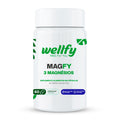 Magfy 3 Magnésios Wellfy 1 pote suplemento alimentar em cápsulas