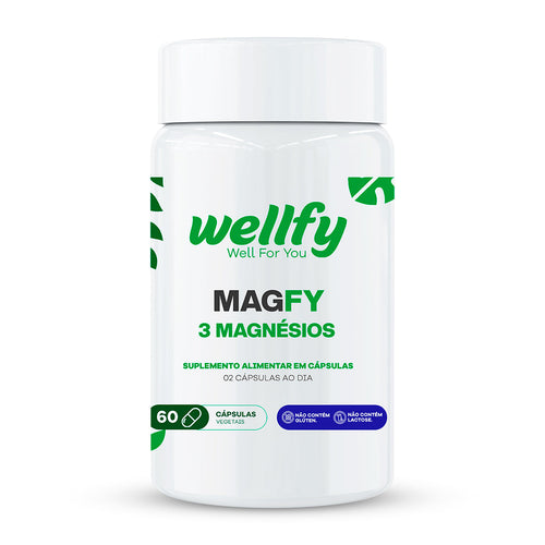 Magfy 3 Magnésios Wellfy 1 pote suplemento alimentar em cápsulas