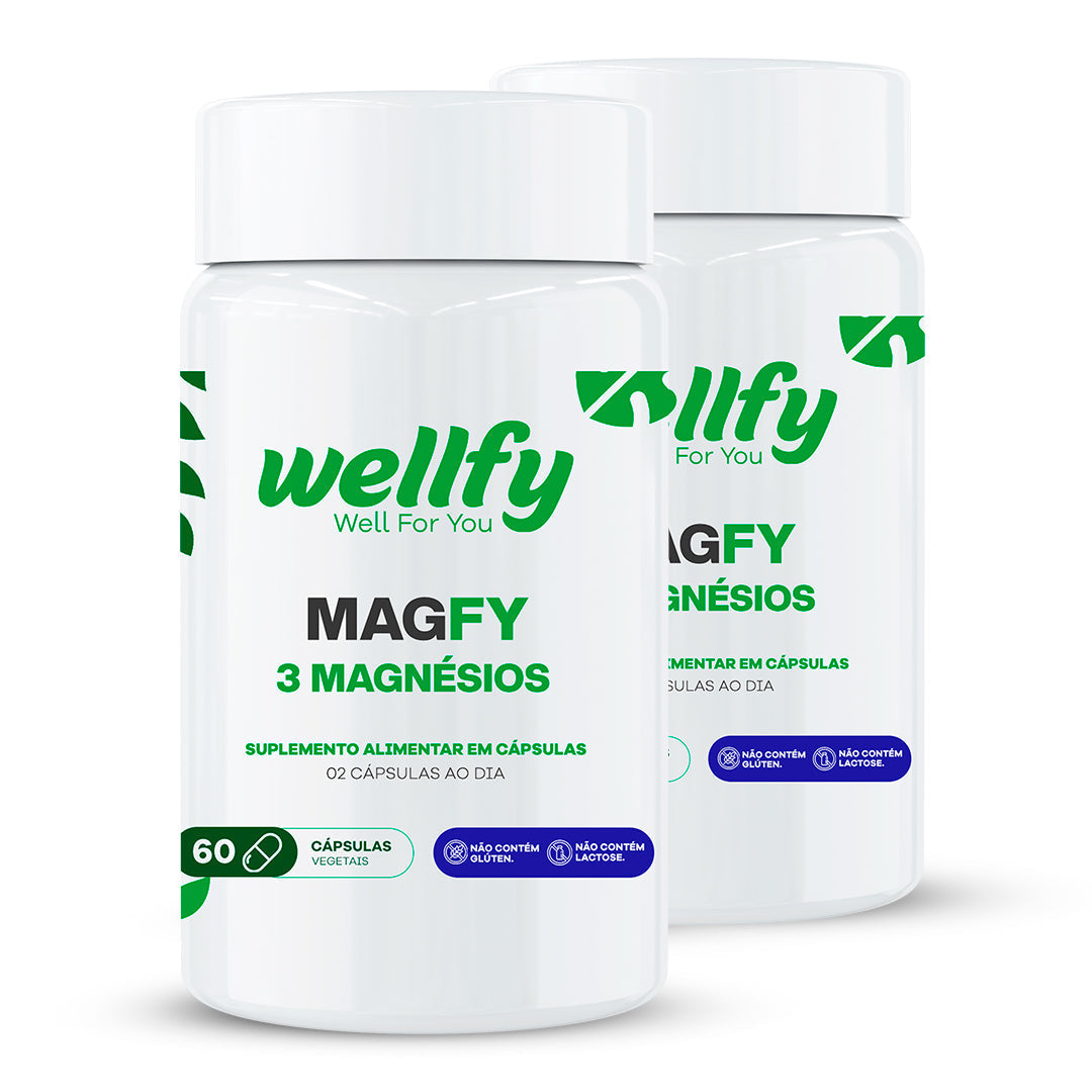 Kit Magfy 3 Magnésios Wellfy com 2 potes suplemento alimentar