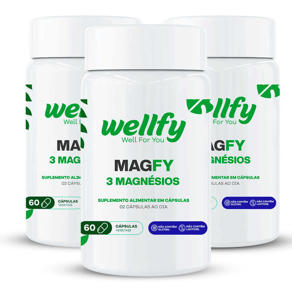 Kit Magfy 3 Magnésios Wellfy com 3 potes suplemento alimentar
